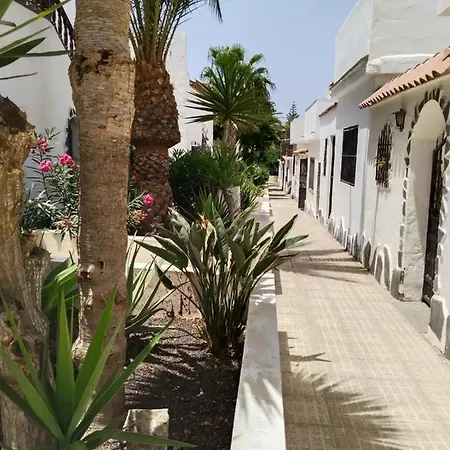펜션 2 Splendida In Tenerife Del Sur Casa Trilly