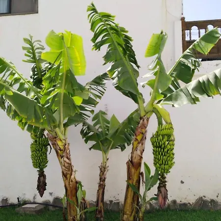 2 Splendida In Tenerife Del Sur Casa Trilly 펜션 아로나